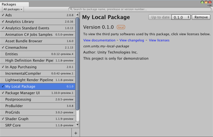 Your local package appears on the Packages window